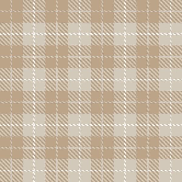 Galerie Wallpaper Product code: 14872 - Little Explorers 2 Wallpaper Collection - Beige Colours - Introducing our captivating Twilled Tartan wallpaper, a stunning addition to elevate your home décor. Crafted with meticulous attention to detail, this slightly textured vinyl wallpaper embodies the essence of balanced design. With its rich matte muted colours, complemented by the subtle interweaving of white threads, it creates an illusion of a beautifully handwoven fabric. The intricate twill pattern adds a touch of sophistication and elegance to any space, infusing it with a sense of timeless charm.  Design