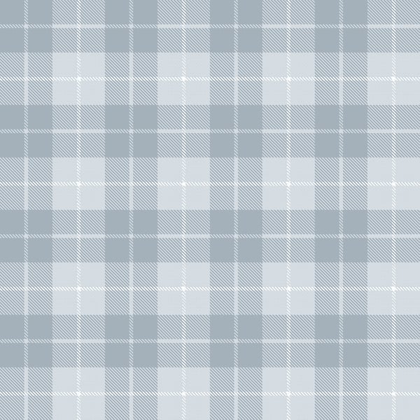 Galerie Wallpaper Product code: 14873 - Little Explorers 2 Wallpaper Collection - Heavenly Colours - Introducing our captivating Twilled Tartan wallpaper, a stunning addition to elevate your home décor. Crafted with meticulous attention to detail, this slightly textured vinyl wallpaper embodies the essence of balanced design. With its rich matte muted colours, complemented by the subtle interweaving of white threads, it creates an illusion of a beautifully handwoven fabric. The intricate twill pattern adds a touch of sophistication and elegance to any space, infusing it with a sense of timeless charm.  Design