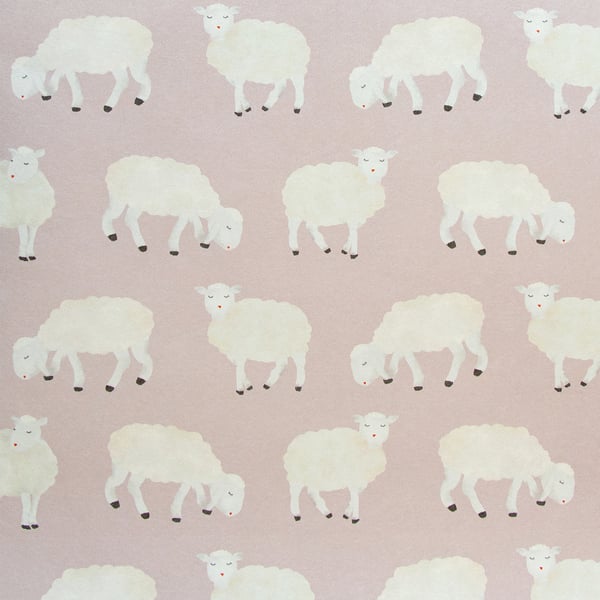 Galerie Wallpaper Product code: 26827 - Great Kids Wallpaper Collection -  Sweet Sheep Design