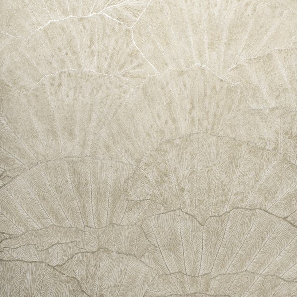 Galerie Wallpaper Product code: 65003 - Feel Wallpaper Collection - Cream Silver Grey Colours - Seashell Design