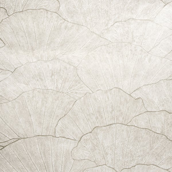 Galerie Wallpaper Product code: 65004 - Feel Wallpaper Collection - Silver Light Grey Cream  Colours - Seashell Design