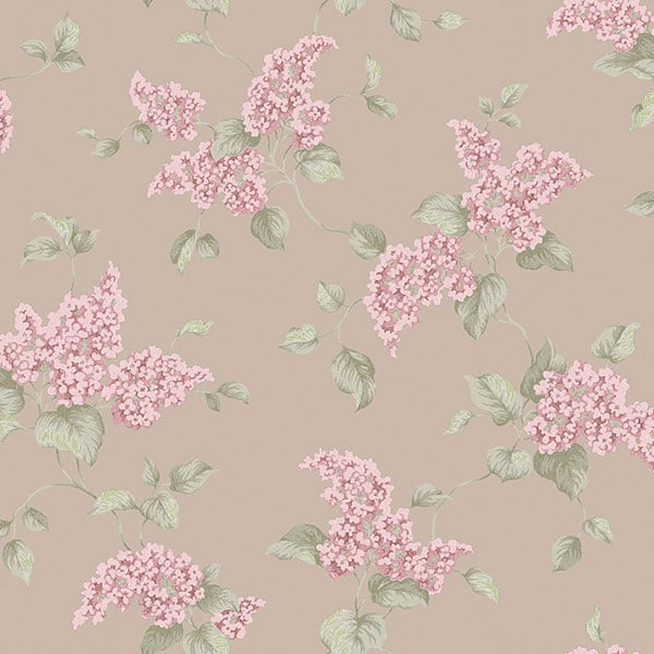 Galerie Wallpaper Product code: G34322 - English Florals Wallpaper Collection -   