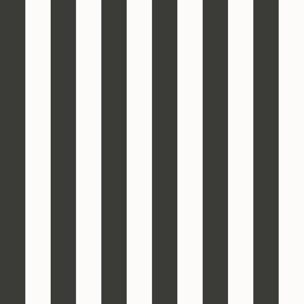 Galerie Wallpaper Product code: SS21231 - Style Sisters Classic Wallpaper Collection -  Thin Stripe Black Design