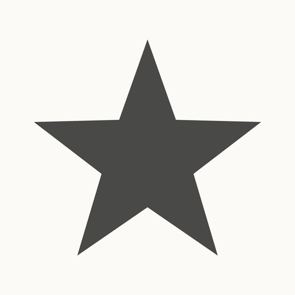 Galerie Wallpaper Product code: SS21244 - Style Sisters Classic Wallpaper Collection -  Single Star Black Design
