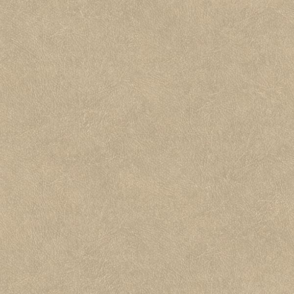 Galerie Wallpaper Product code: TA25021 - Shades Of Colour Wallpaper Collection - beige Colours - Leather Plain Design