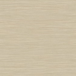 Galerie Wallcoverings Product Code 35972 - Ornamenta Wallpaper Collection - Cream Gold Colours - Horizontal Texture Design