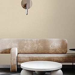 Galerie Wallcoverings Product Code DC30117 - Designer Colours Wallpaper Collection - Beige Colours - Abstract Texture Design