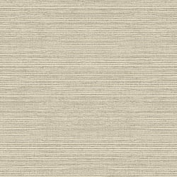 Galerie Wallcoverings Product Code G45419 - Natural FX 2 Wallpaper Collection - Beige Colours - Grasscloth Design