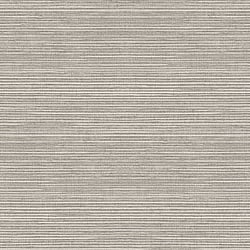 Galerie Wallcoverings Product Code G45420 - Natural FX 2 Wallpaper Collection - Grey Colours - Grasscloth Design