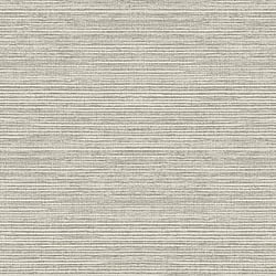 Galerie Wallcoverings Product Code G45421 - Natural FX 2 Wallpaper Collection - Grey Colours - Grasscloth Design