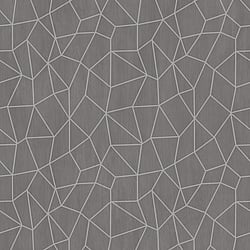 Galerie Wallcoverings Product Code G67698 - Special Fx Wallpaper Collection - Silver Grey Beige Colours - Glitter Web Design