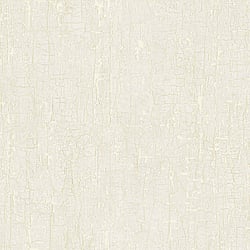 Galerie Wallcoverings Product Code G67747 - Natural FX 2 Wallpaper Collection - White Colours - Bark Design