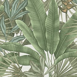 Galerie Wallcoverings Product Code WH30114 - Welcome Home Wallpaper Collection - Green Colours - Tropical Leaves Design