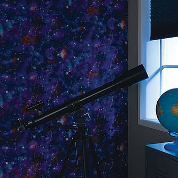 Galerie Wallcoverings Product Code 292312 - Kids and Teens 2 Wallpaper Collection -   