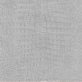 Galerie Wallcoverings Product Code 474145 - African Queen 2 Wallpaper Collection -   