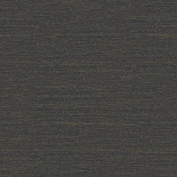 Galerie Wallcoverings Product Code DC30015 - Designer Colours Wallpaper Collection - Black Colours -  
