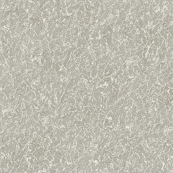Galerie Wallcoverings Product Code DC30164 - Designer Colours Wallpaper Collection - Silver Grey Colours -  