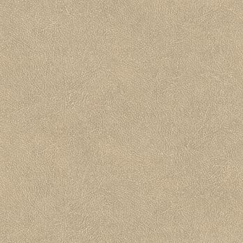Galerie Wallcoverings Product Code TA25021 - Shades Of Colour Wallpaper Collection - beige Colours -  