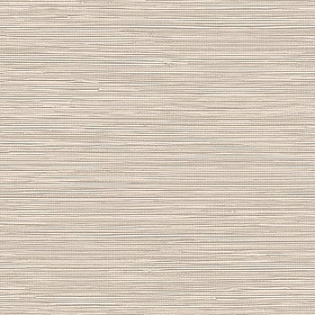 Galerie Wallcoverings Product Code TA25040 - Shades Of Colour Wallpaper Collection - offwhite Colours -  